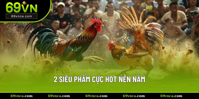 2 siêu phẩm cực hot nên nắm