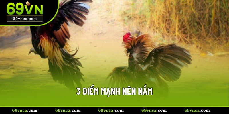 3 điểm mạnh nên nắm