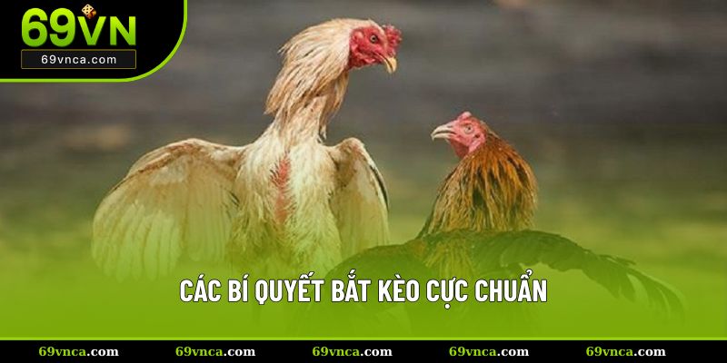 Các bí quyết bắt kèo cực chuẩn