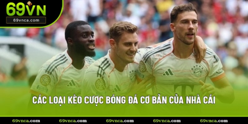 Khám phá các dạng kèo cược cơ bản của nhà cái