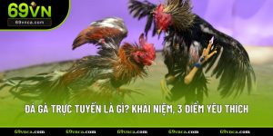 đá gà trực tuyến là gì