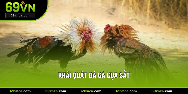 Khái quát đá gà cựa sắt