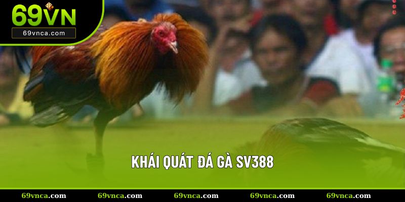 Khái quát đá gà SV388
