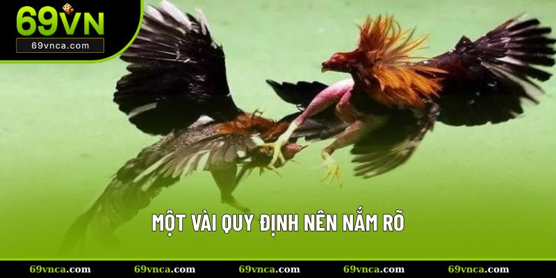 Một vài quy định nên nắm rõ