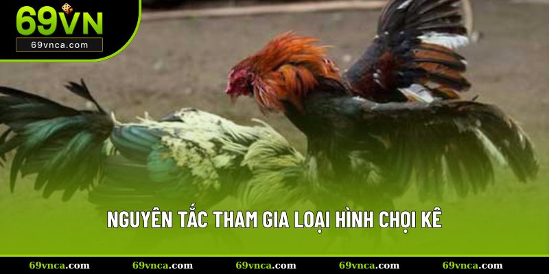 Nguyên tắc tham gia loại hình chọi kê