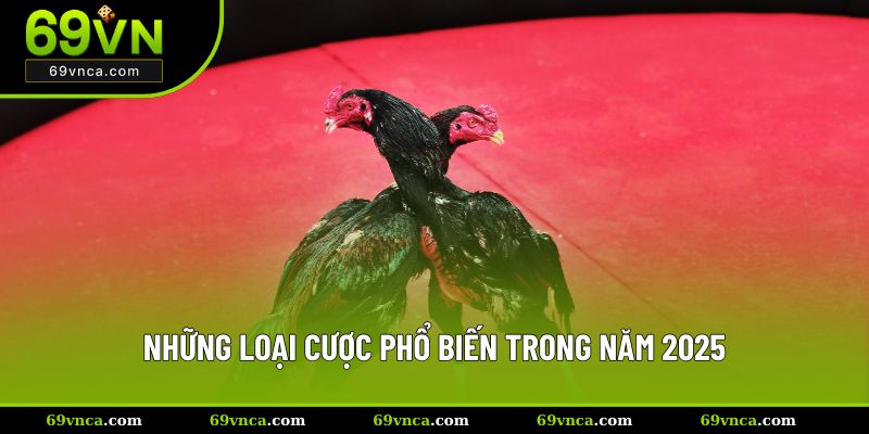 Những loại cược phổ biến trong năm 2025